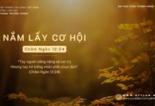 Nắm Lấy Cơ Hội – 9/11/2023