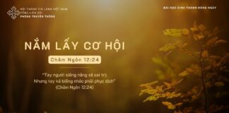 Nắm Lấy Cơ Hội – 9/11/2023