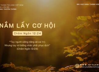 Nắm Lấy Cơ Hội – 9/11/2023