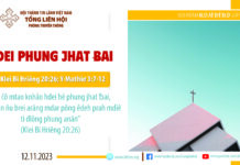 Hdei Phung Jhat Ƀai – 12/11/2023