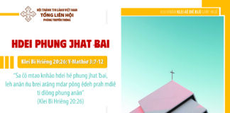 Hdei Phung Jhat Ƀai – 12/11/2023
