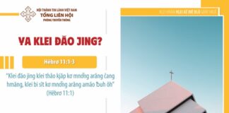 Ya Klei Đăo Jing? – 15/11/2023