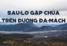 Thơ: Sau-lơ Gặp Chúa Trên Đường Đa-mách