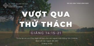 Vượt Qua Thử Thách – 1/1/2024