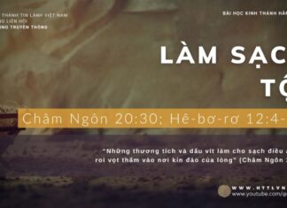 Làm Sạch Tội – 17/12/2023