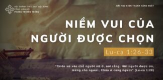 Niềm Vui Của Người Được Chọn – 22/12/2023