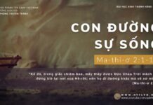 Con Đường Sự Sống – 25/12/2023