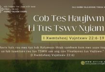 Cob Tes Haujlwm Li Tus Tswv Nyiam – 3/12/2023