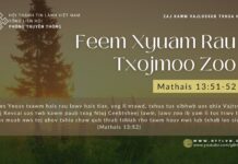 Feem Xyuam Rau Txojmoo Zoo – 6/12/2023