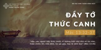 Đầy Tớ Thức Canh – 7/12/2023
