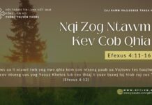 Nqi Zog Ntawm Kev Cob Qhia – 9/12/2023