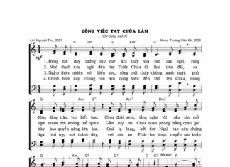 Bài hát: CÔNG VIỆC TAY CHÚA LÀM