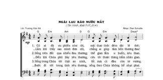 Bài hát: NGÀI LAU RÁO NƯỚC MẮT
