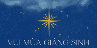 Thơ: VUI MÙA GIÁNG SINH