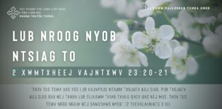 Lub Nroog Nyob Ntsiag To – 11/01/2024