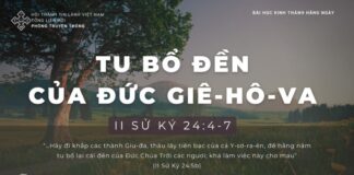 Tu Bổ Đền Của Đức Giê-hô-va – 13/1/2024