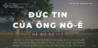 Đức Tin Của Ông Nô-ê – 15/1/2024