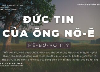 Đức Tin Của Ông Nô-ê – 15/1/2024