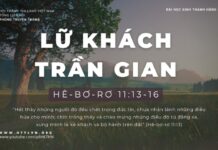 Lữ Khách Trần Gian – 17/1/2024