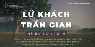 Lữ Khách Trần Gian – 17/1/2024