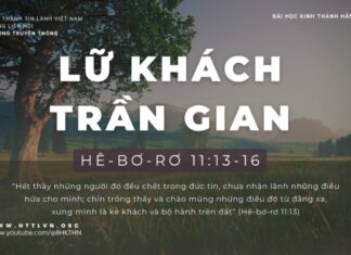 Lữ Khách Trần Gian – 17/1/2024