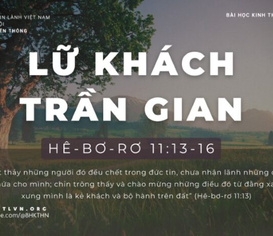 Lữ Khách Trần Gian – 17/1/2024