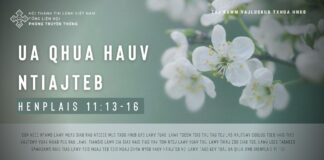 Ua Qhua Hauv Ntiajteb – 17/1/2024