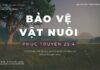 Bảo Vệ Vật Nuôi – 18/1/2024