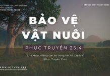 Bảo Vệ Vật Nuôi – 18/1/2024