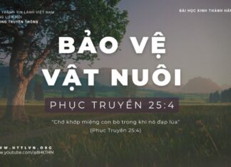 Bảo Vệ Vật Nuôi – 18/1/2024