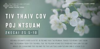 Tiv Thaiv Cov Poj Ntsuam – 19/1/2024