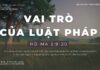 Vai Trò Của Luật Pháp – 22/1/2024