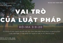Vai Trò Của Luật Pháp – 22/1/2024