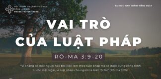 Vai Trò Của Luật Pháp – 22/1/2024