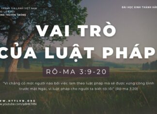 Vai Trò Của Luật Pháp – 22/1/2024