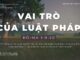 Vai Trò Của Luật Pháp – 22/1/2024
