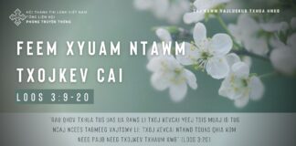 Feem Xyuam Ntawm Txojkev Cai – 22/1/2024