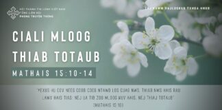 Ciali Mloog Thiab Totaub – 25/1/2024