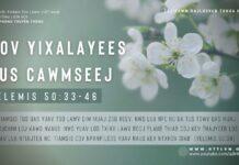 Cov Yixalayees Tus Cawmseej – 27/1/2024