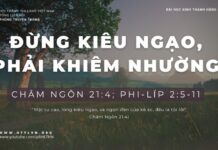 Đừng Kiêu Ngạo, Phải Khiêm Nhường – 28/1/2024