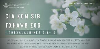 Cia Kom Sib Txhawb zog – 29/1/2024