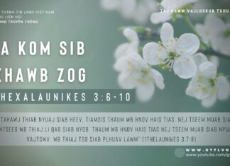 Cia Kom Sib Txhawb zog – 29/1/2024