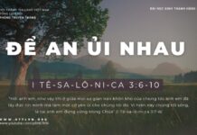 Để An Ủi Nhau – 29/1/2024