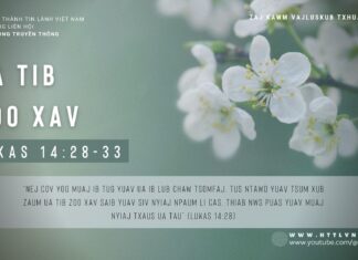 Ua Tib Zoo Xav – 4/1/2024