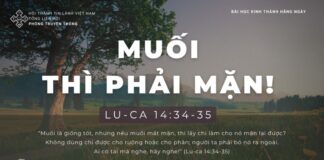 Muối Thì Phải… Mặn! – 5/1/2024