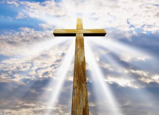 Ý TƯỞNG CỦA CHÚA CHẲNG THEO LỐI MÒN