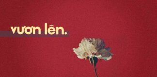 Thơ: VƯƠN LÊN