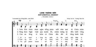 Bài hát: LINH TRÌNH MỚI