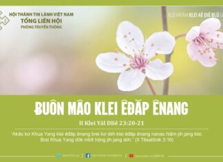 Ƀuôn Mâo Klei Êđăp Ênang – 11/01/2024