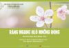 Răng Mgang Hlô Mnơ̆ng Rông – 18/1/2014